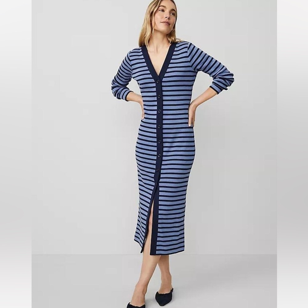 Ann Taylor Blue and Black Button-Down Dress